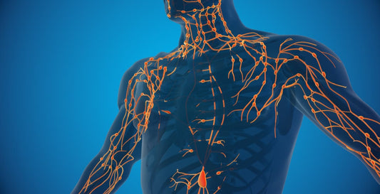 Boost Your Lymphatic System Health Naturally